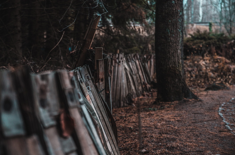 day, forest, focus on foreground, wood, wood - material, gun, 4K, arrow, field, weapon, tree, weaponry, nature, housing, growth, plant, hunting, building