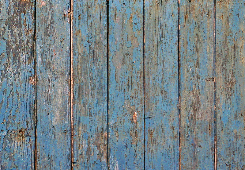 wood - material, plant, close-up, lumber, outdoors, door, texture, stained wood, wood grain, fence, rust, backgrounds, abstract, plank, wall - building feature