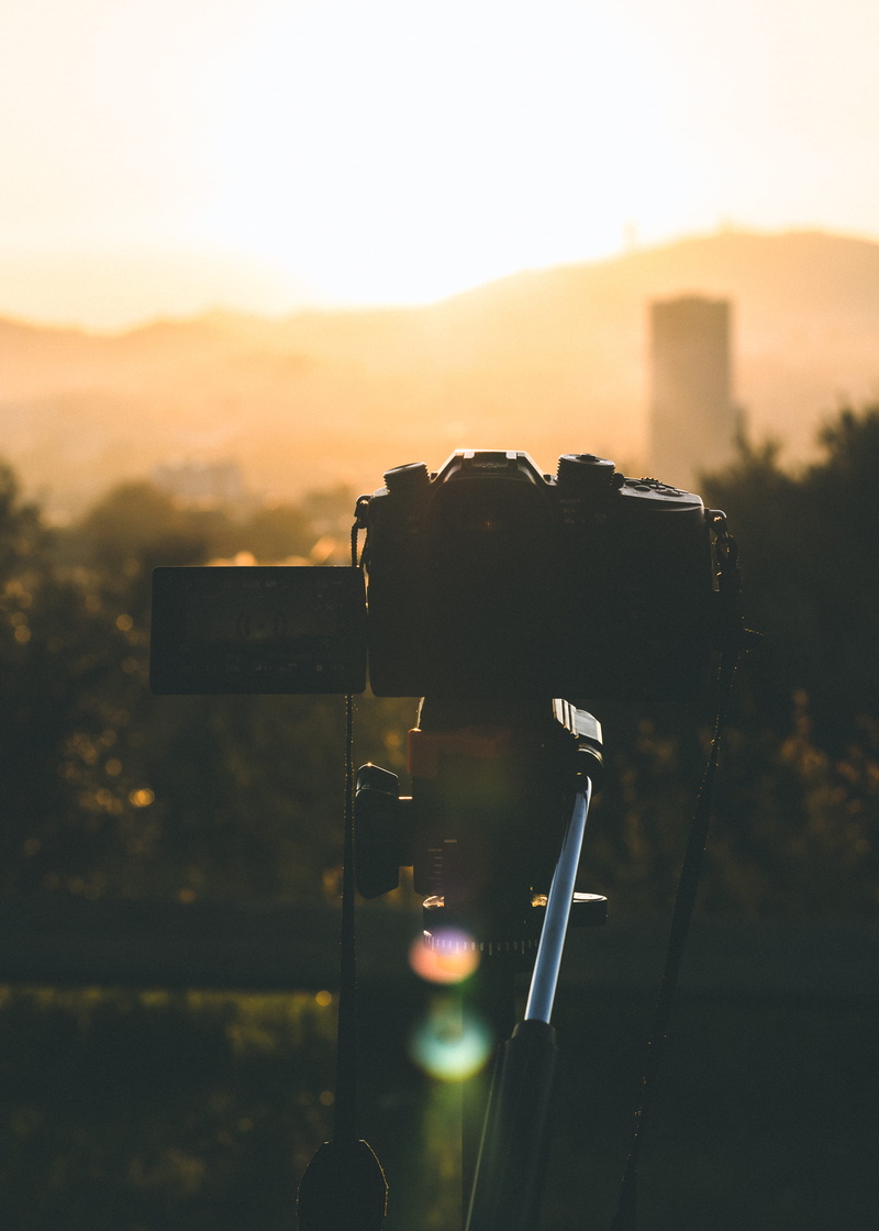 2K, face, animal, modern, focus on foreground, digital camera, hour, flare, photo, sky, activity, sunset, black, nature, photographic equipment, close-up