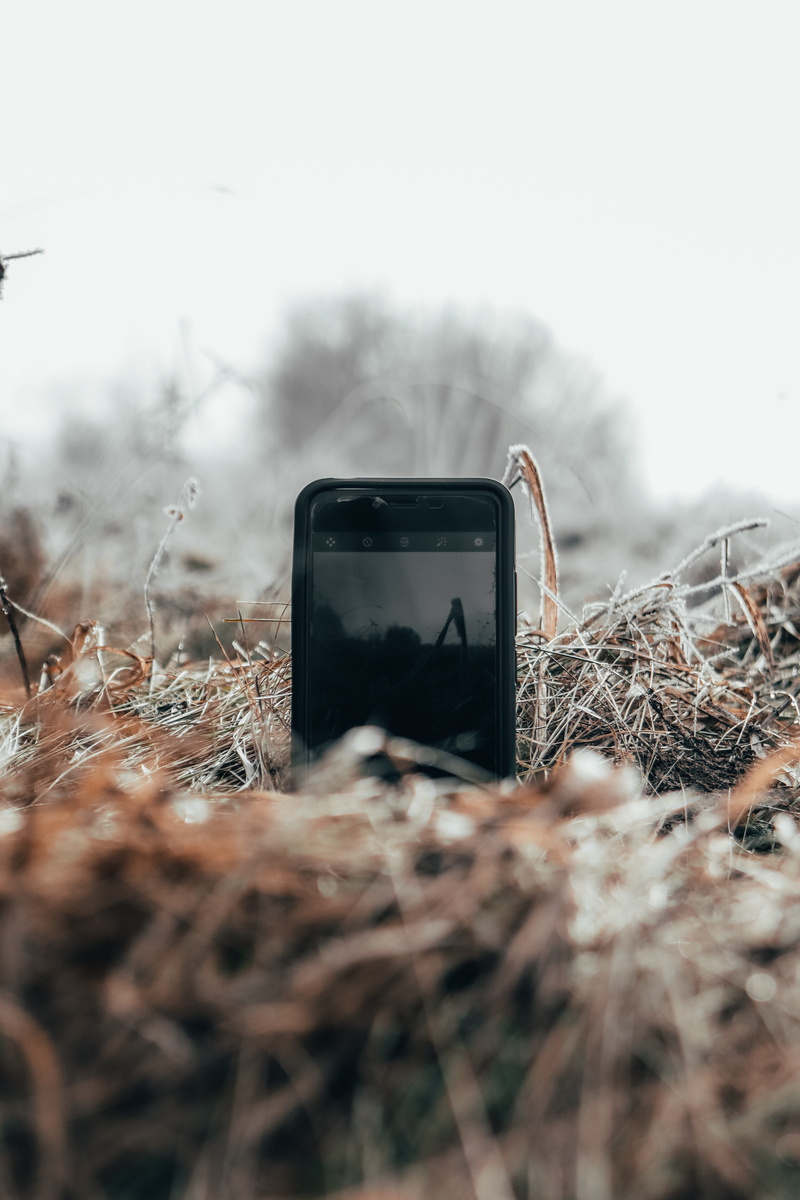 bird, no people, cell phone, buzzard, close-up, anthus, hawk, smart phone, deer, electronics, agelaius, portable information device, iphone, smartphone