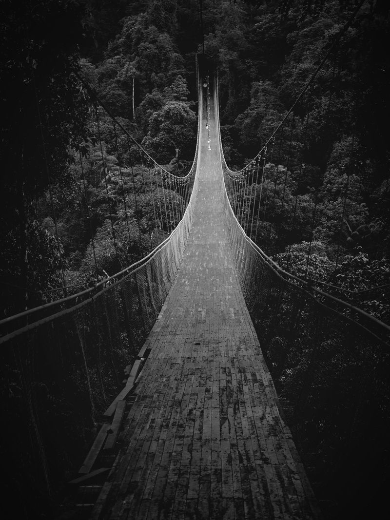green, photography, no people, direction, bridge - man made structure, footbridge, diminishing perspective, connection, boardwalk, building, built structure