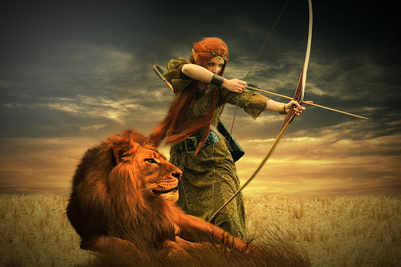 heroine, archery, grass, one animal, domestic animals, field, holding, weapon, cloud - sky, fantasy, woman, costume, sky, nature, sword, men, 4K, warrior - person
