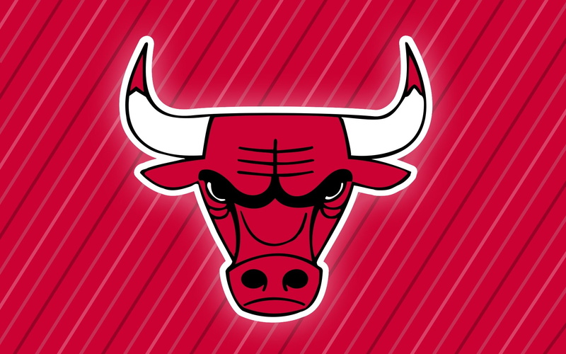 art and craft, no people, Chicago Bulls, animal wildlife, bull - animal, red, single object, mammal, close-up, 1080P, pattern, communication, animal body part