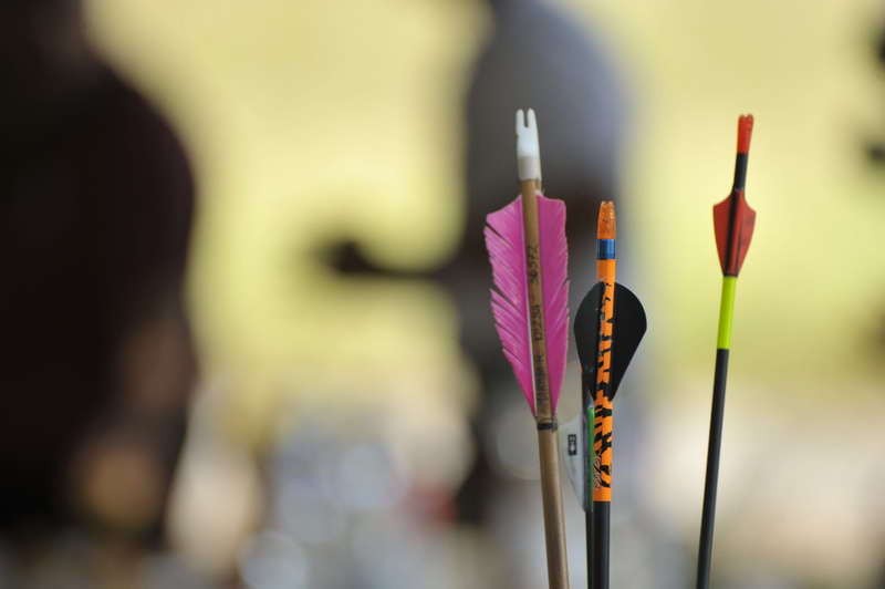 outdoors, no people, 3d, choice, nature, pencil, campaign, art and craft, burning, colored background, close-up, focus on foreground, variation, writing instrument