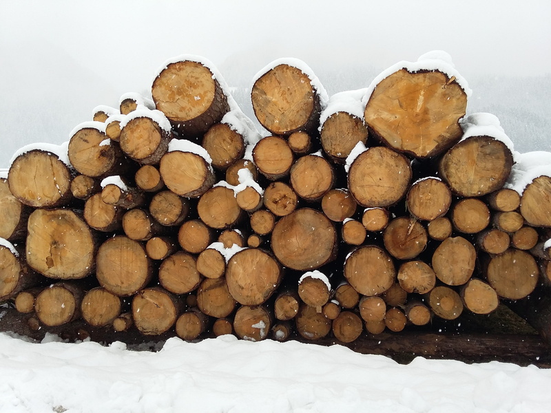 winter, brown, snow, firewood, forest, log, 2K, timber, sawn, backgrounds, deforestation, south tyrol, wood, tree, cold temperature, woodpile, lumber Industry