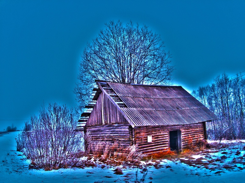 house, season, forest, year, holiday, beauty in nature, frost, wood, frozen, village, home, snowflake, outdoors, building exterior, december, christmas