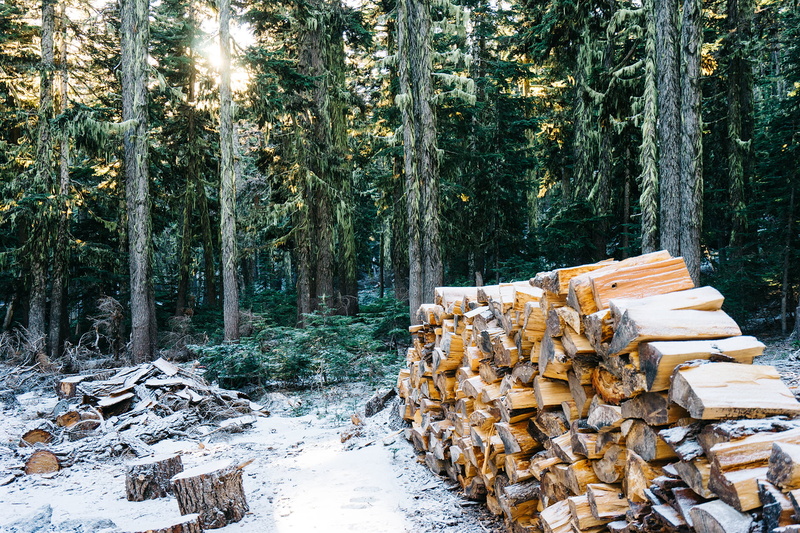 stack, tree trunk, trees, cord, daytime, firewood, industry, lumber, forest, trunk, woods, day, no people, wood - material, wood, brown, outdoors, deforestation