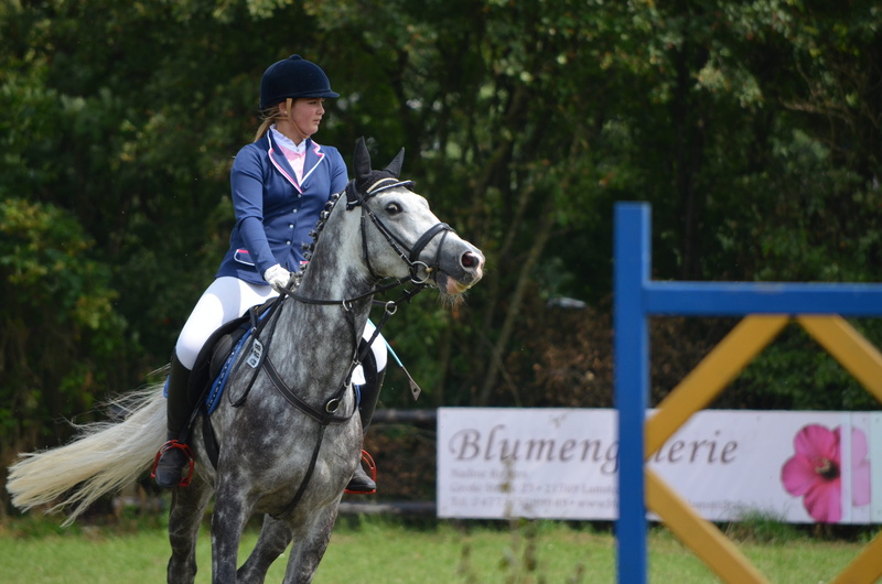 mammal, real people, animal themes, show jumping, horse, daytime, ride, teenager, vertebrate, horseback riding, domestic, woman, animal, riding, pets, equestrian