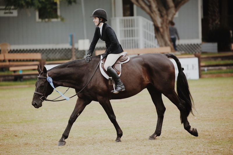 horseback riding, one animal, person, woman, action energy, livestock, grass, athlete, riding, motion, activity, race, rider, horse rider, stallion, real people