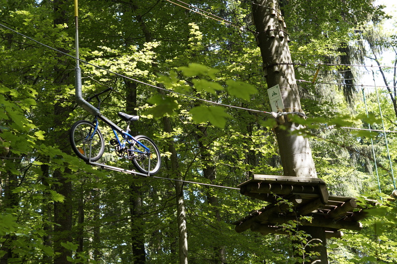 outdoors, high, tree, tree trunk, plant, day, forest, courageous, courage, hanging, climbing garden, bike, Climb, station, mode of transportation, get over