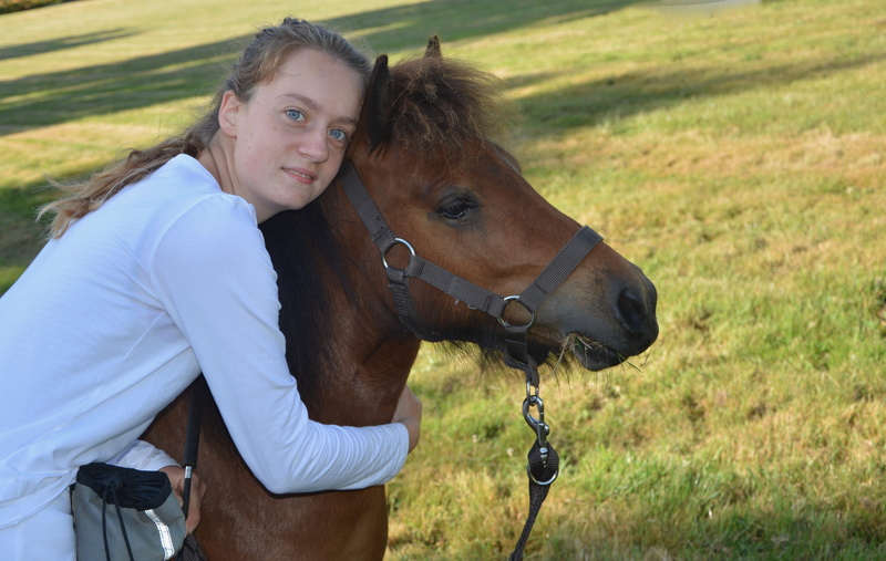 horseback, one animal, animal, Horseback Riding, dressage, horses, equine, portrait, riding, horse, competition equestrian, vertebrate, domestic animals