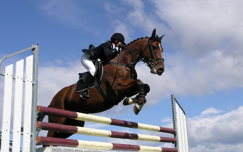 2K, sports, jumping, show, hd