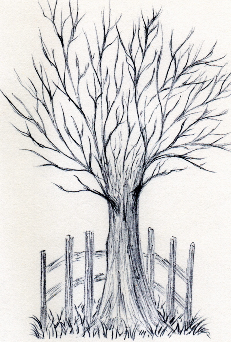 day, pen, bare tree, pattern, cold temperature, nature, outdoors, beauty in nature, art, white color, winter, plant, trunk, drawing, 2K, no people, dead plant