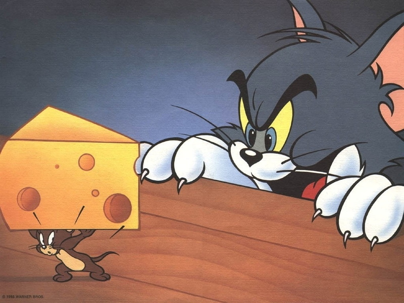 cats, jerry, mice, animals, 480P, art, Cartoons, drawn, tables, cheese, x, tom, hd