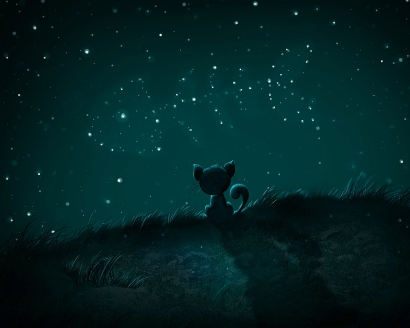 animals, cats, hd, drawn, stars, x, art, 720P, night, artwork