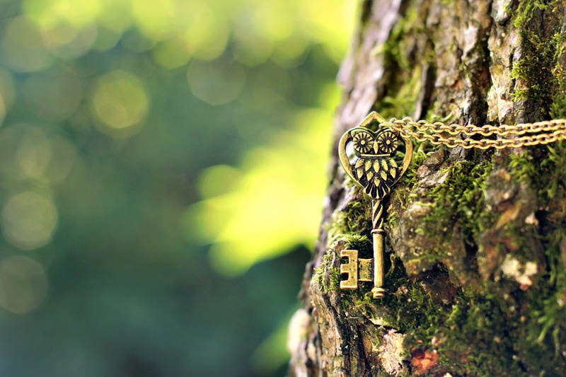day, focus on foreground, pendant, macro, reptile, rainforest, metal, selective focus, no people, close-up, animal themes, suspension, bark, tree, animals in the wild