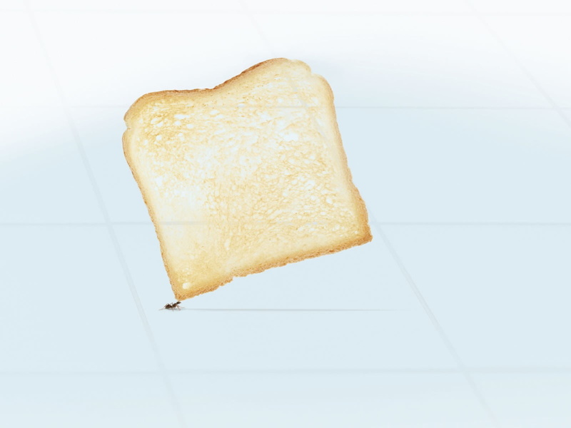 temptation, cut out, breakfast, suepr strongman, food, single object, two objects, close-up, freshness, studio shot, no people, healthy eating, food and drink