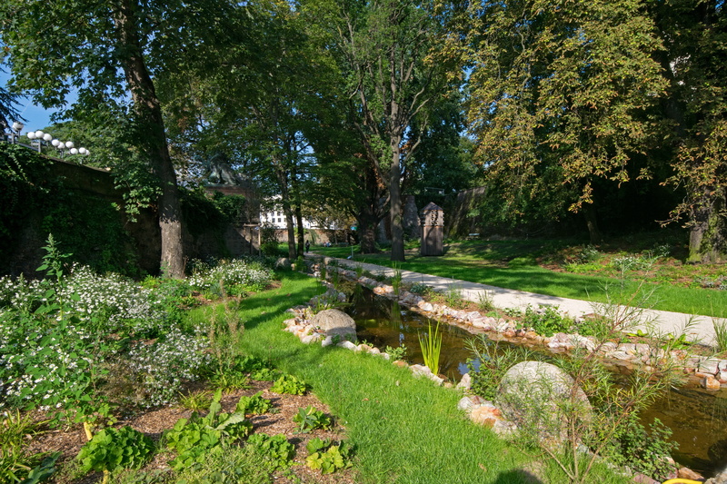 5K, growth, nature, tree, places of interest, non-urban scene, tranquility, germany, grass, no people, garden, schlossgarten, forest, scenics - nature