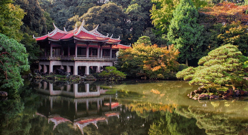 body, no people, japan, lake, growth, day, tree, green color, park, reflection, surrounded, 1080P, outdoors, architecture, autumn, tokyo, plant, trees