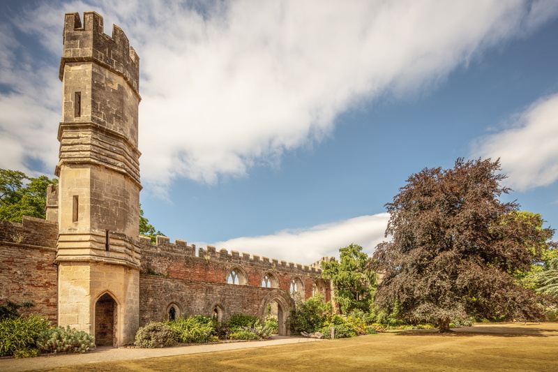archaeology, tower, place, built structure, arch, outside, cloud - sky, wells, old ruin, history, gothic, garden, pretty, ruined, tree, ruins, english