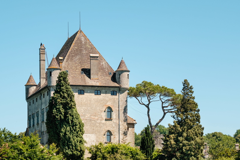 outdoors, built structure, tree, fir, gray, conifer, the past, history, building exterior, architecture, tower, castle, building, 5K, plant, abies, old