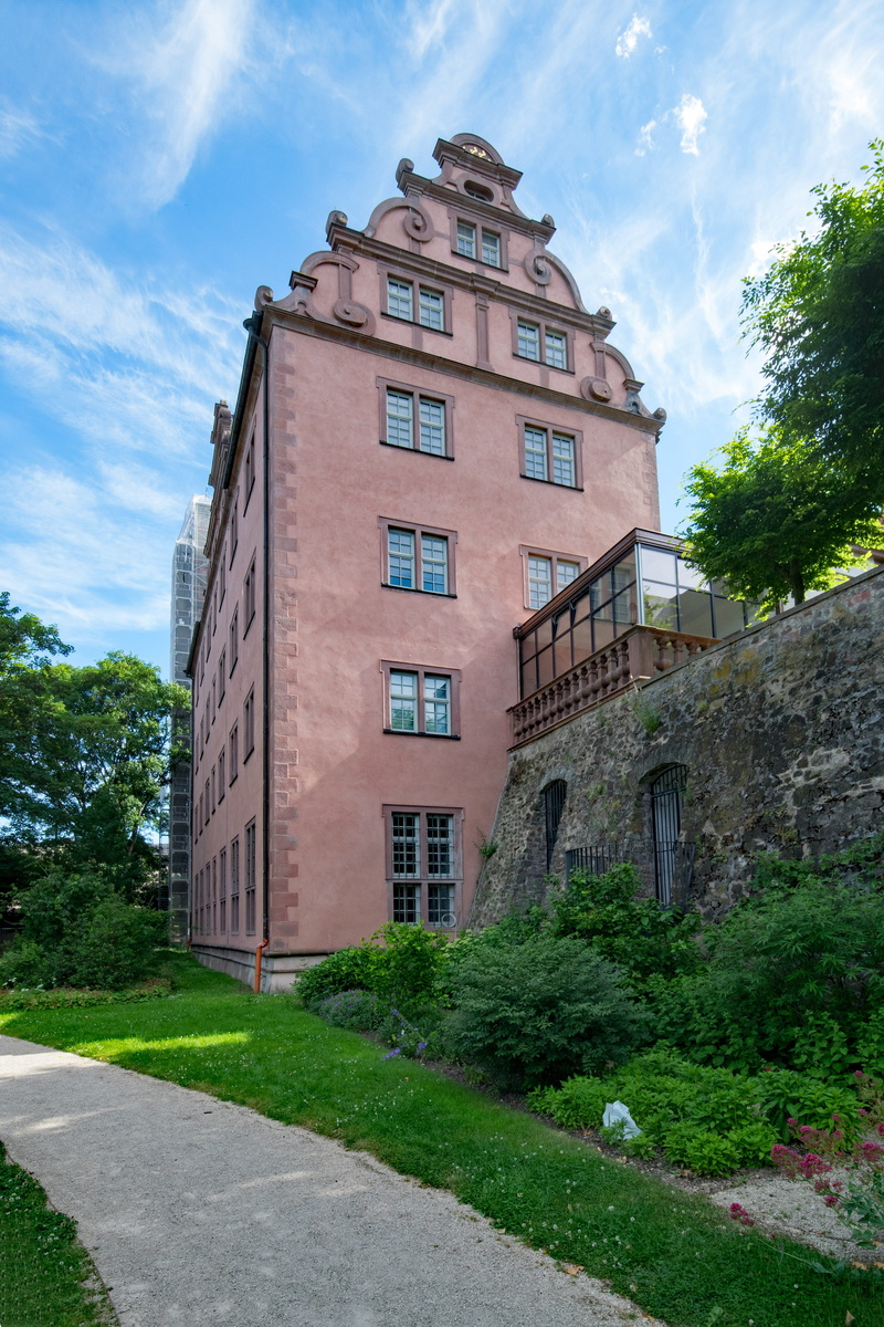 tree, architecture, building, residential district, city, castle, 5K, nature, window, plant, darmstadt hesse, growth, low angle view, built structure