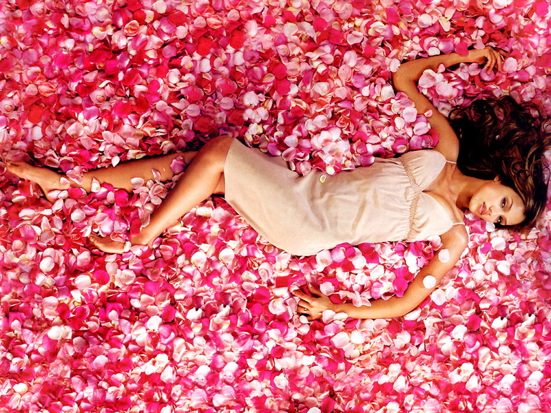 alba, roses, 720P, laying, jessica, photoshoot