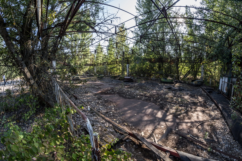 environment, park, green color, grass, day, green, woodland, trunk, outdoors, tranquil scene, steel, branch, daylight, Chernobyl, flora, nature, abandoned