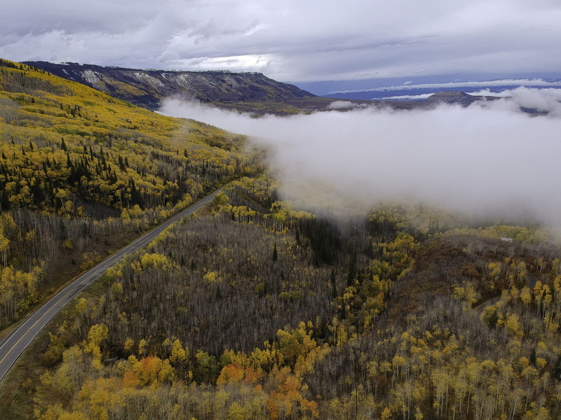 water, dji, beautiful, leafed, daylight, leaves, autumn colors, cloudy sky, orange, sight, scenics - nature, lake, colorado, forest, fall, season, tree