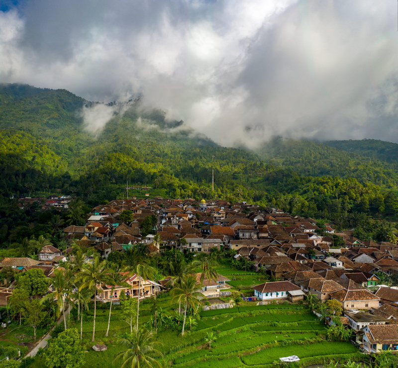 plant, aerial photography, building, high angle view, colors, rice, sky, growth, landscape, daylight, no people, grass, drone footage, townscape, aerial s