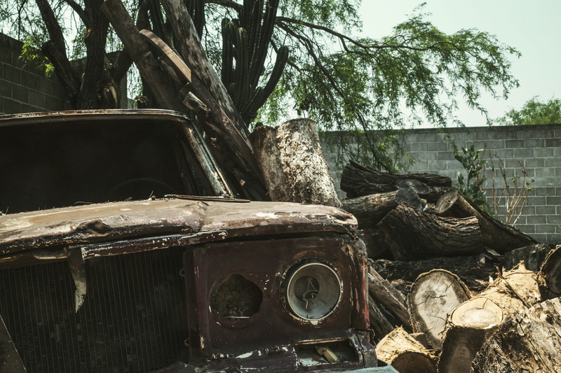 transportation, rusty, tree log, nature, no people, old car, branch, obsolete, destroyed, land vehicle, abandoned, plant, mode of transportation, tire