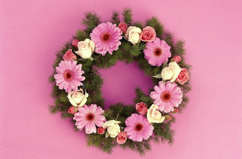 high angle view, springtime, valentines Day - Holiday, love, pink Color, fragility, flower arrangement, no people, red, gerbera, arrangement, romance, needles