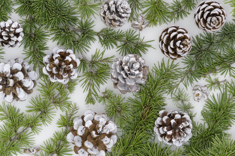 fir tree, New Year, decoration, 4K, bumps, Merry, Christmas, fir-tree branches