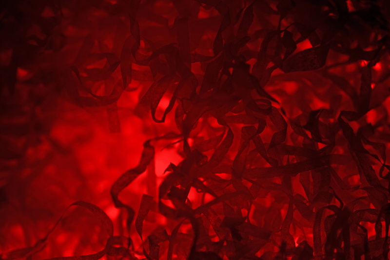 5K, outdoors, close-up, abstract, close, red, leaf, spiral, mystery, motion, smoke - physical structure, swirl, nature, night, new years eve, design, textured