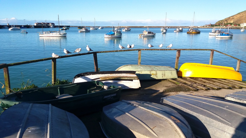 beauty in nature, moored, tire, tranquility, bird, boats and birds at friendly bay., sky, transportation, sailboat, no people, nautical vessel, motor launch