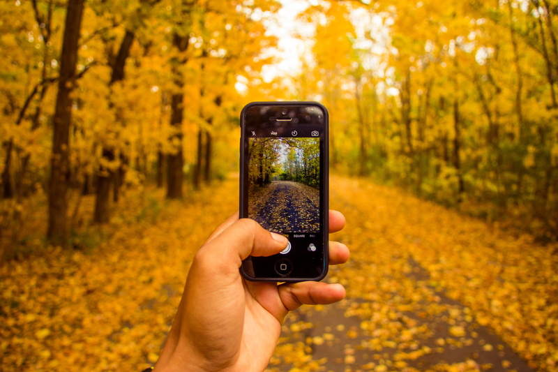 smartphone, wireless technology, phone, iphone, wood, using, leafe, outdoors, human body part, activity, portable information device, fall, finger, human hand