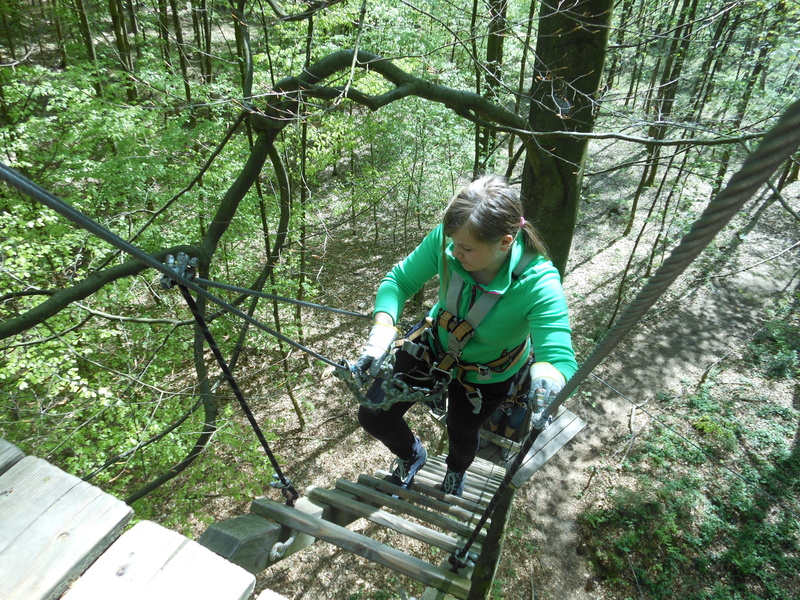 nature, full length, growth, Climbing, Aachen, leisure activity, green color, one person, Hobby, holidays, climbing forest, 4K, looking down, land, crown