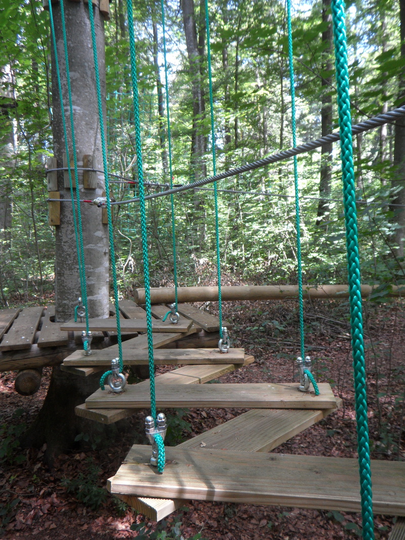 fun, playground, balance, swing, shaky, forest ropes, drex, ropes course, day, park - man made space, forest, blue, adventure, land, climb, plant, climbing forest