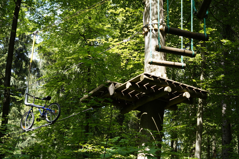 station, climb, nature, courageous, platform, forest, high, built structure, plant, trunk, 5K, no people, land, courage, parcours, test of courage, high ropes course
