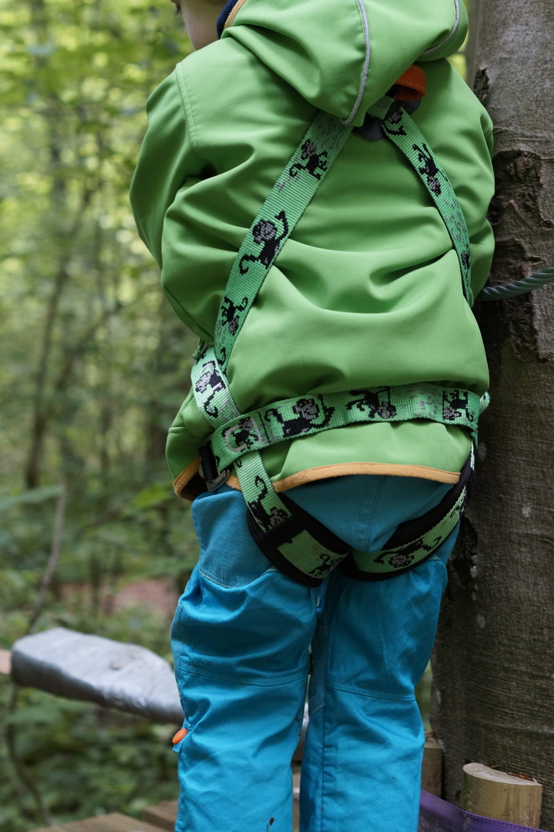rear view, plant, leisure activity, climb, climbing harness, courageous, child, outdoors, men, real people, courage, lifestyles, holding, casual clothing