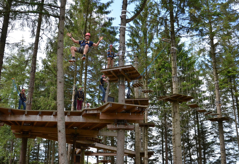land, plant, tree trunk, lifestyles, day, outdoors, forest, nature, climbing forest, wood - material, tree, 2K, built structure, drex, group of people
