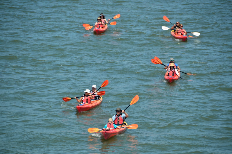 action, kayaking, Sport, paddling, recreational, outdoors, Water, recreational Pursuit, lifestyle, sport Rowing, leisure activity, female, Leisure, couple
