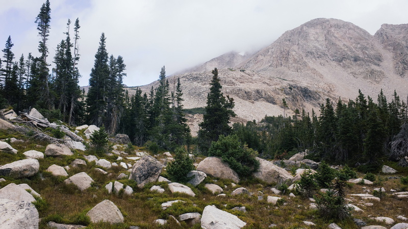 tree, nature, trees, rock, plant, outdoors, blue lake, landscape, scenics - nature, tranquility, coniferous tree, sky, rocks, no people, usa, 5K, rain