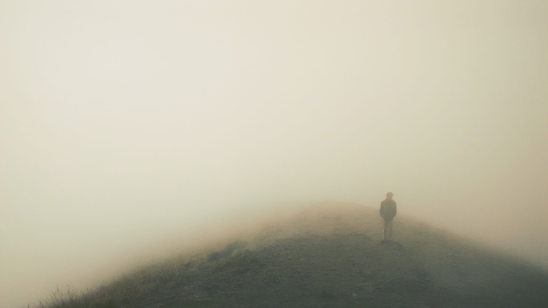 tranquil scene, lifestyles, leisure activity, fog, nature, land, surrounded, copy space, man, scenics - nature, dog, non-urban scene, people, walking, 2K