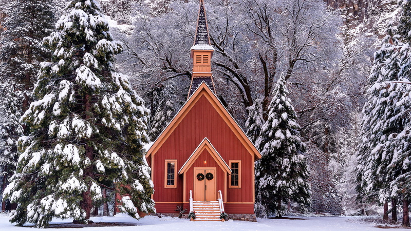 yosemite national park, california, tree, house, yosemite valley chapel, built structure, belief, yosemite valley, chapel, hut, building exterior, day
