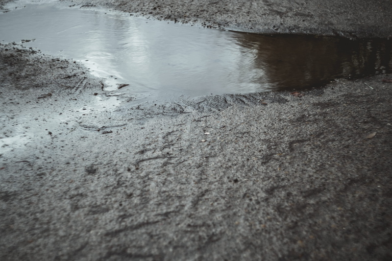 ground, overcome, high angle view, raw, nature, land, beach, life, dirty, authentic, challenge, mud, 5K, selective focus, puddle, beauty in nature, outdoors