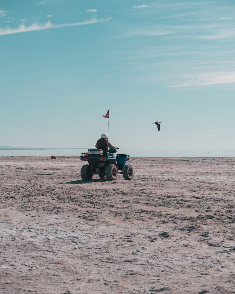 wheel, machine, carriage, nature, patriotism, Action, 4K, animal, mode of transportation, human, vehicle, Gh5, ground, motion, land, flying, outdoors