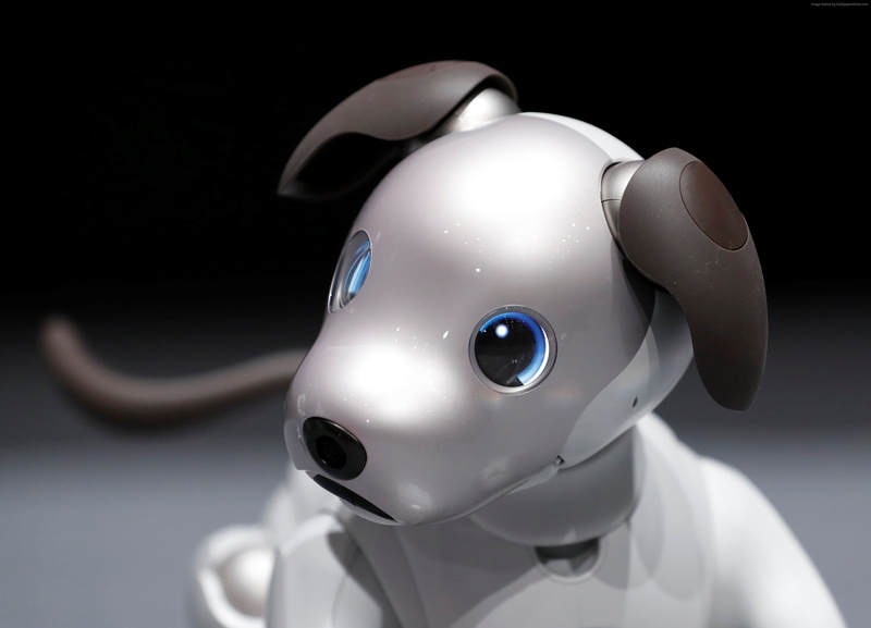 2K, robot, Sony Aibo, 4k, dog