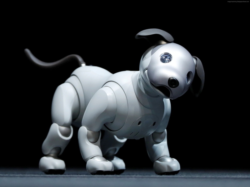 2K, robot, dog, HD, Sony Aibo