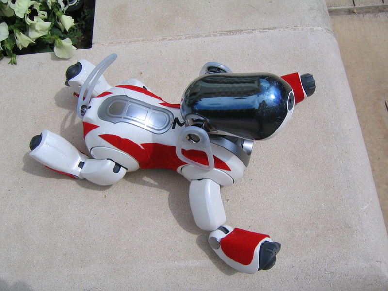 animal representation, land vehicle, transportation, plastic, scooter, day, aibo, representation, toy, mode of transportation, red, motorcycle, stationary